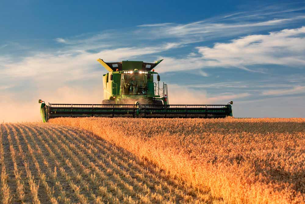 Agriculture